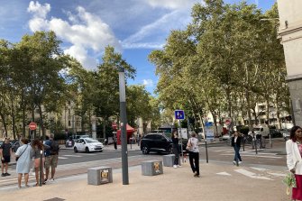 Boulevard à Lyon avec des arbres