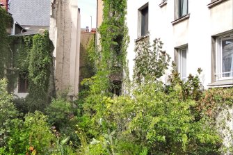 Viele verschiedene Pflanzen vor weißen Hausfassaden. Einige Pflanzen ranken an den Fassaden hinauf. 