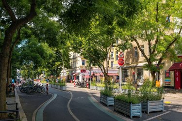 Une piste cyclable bordée d'arbres dans un quartier de Berlin