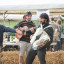 Des musiciens jouent sur un marché.