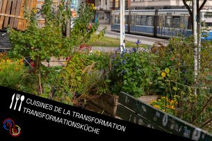 Bannière de la cuisine de la transformation
