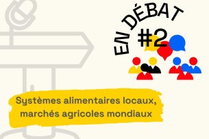 En Débat 2 perspectives française et allemande